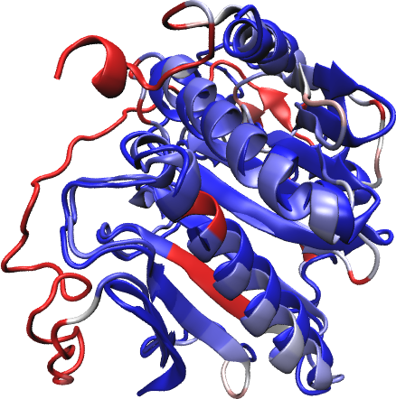 Protein models