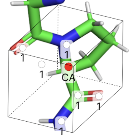 Protein models