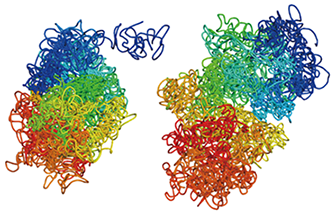 single cell Hi-C normalization