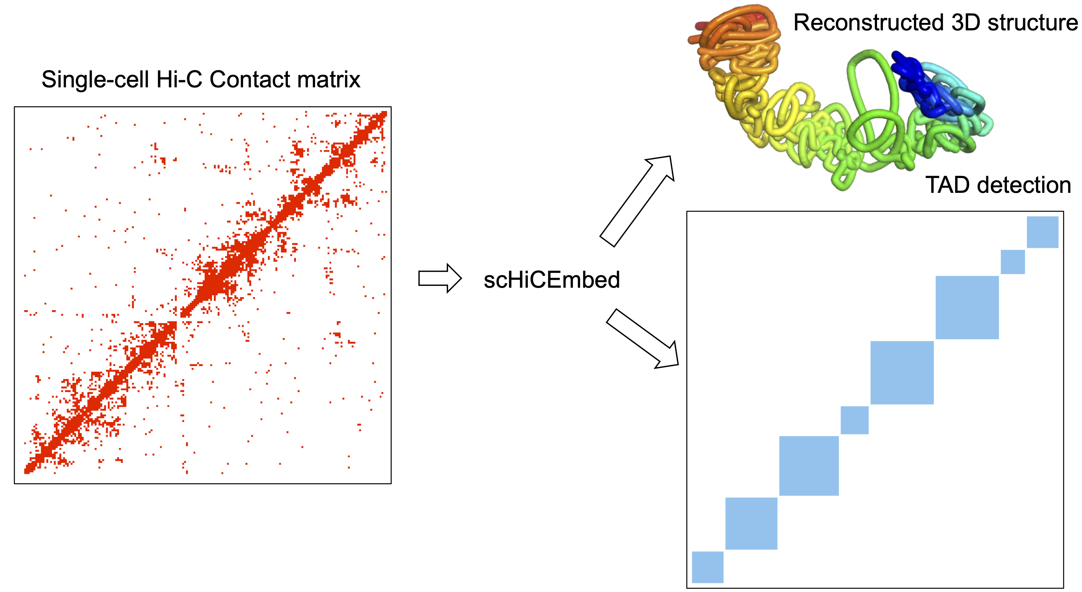 single cell Hi-C embedding