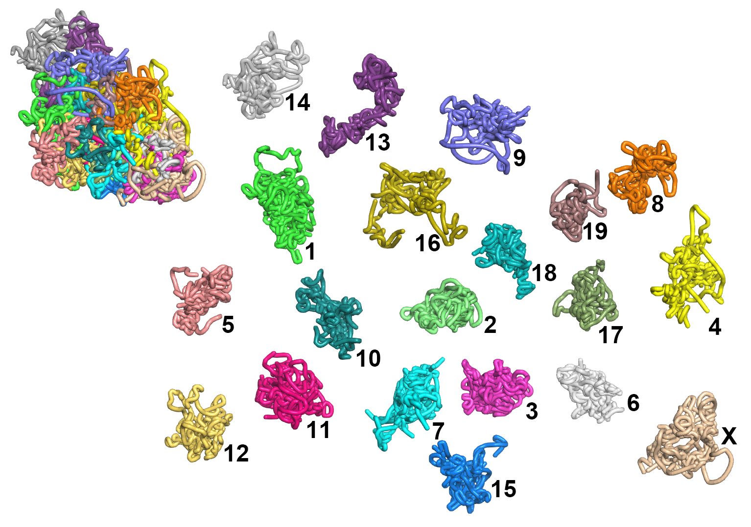 single cell Hi-C normalization